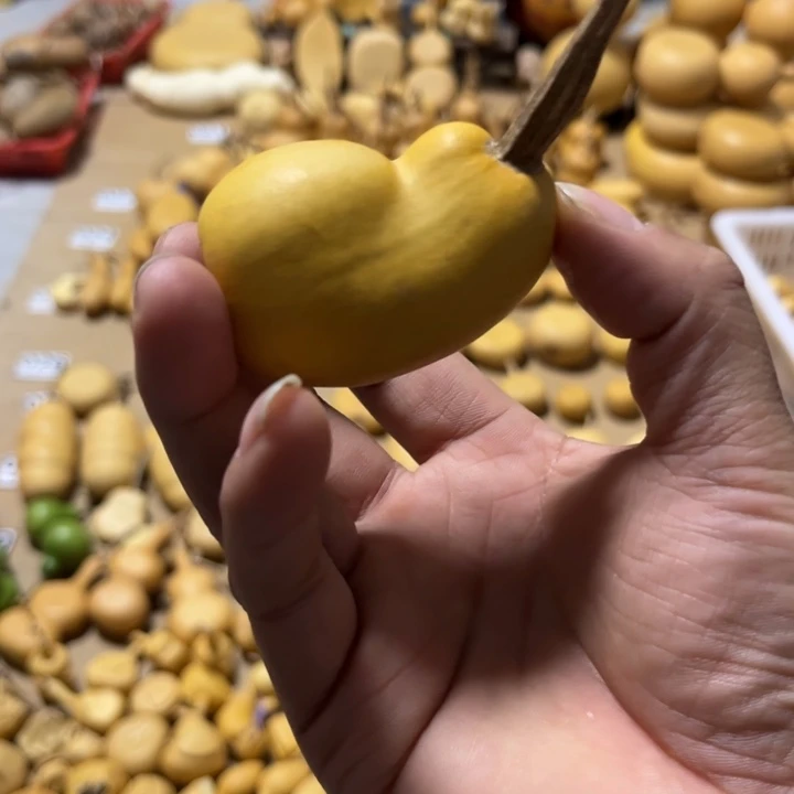 葫芦8*土豆不退不换