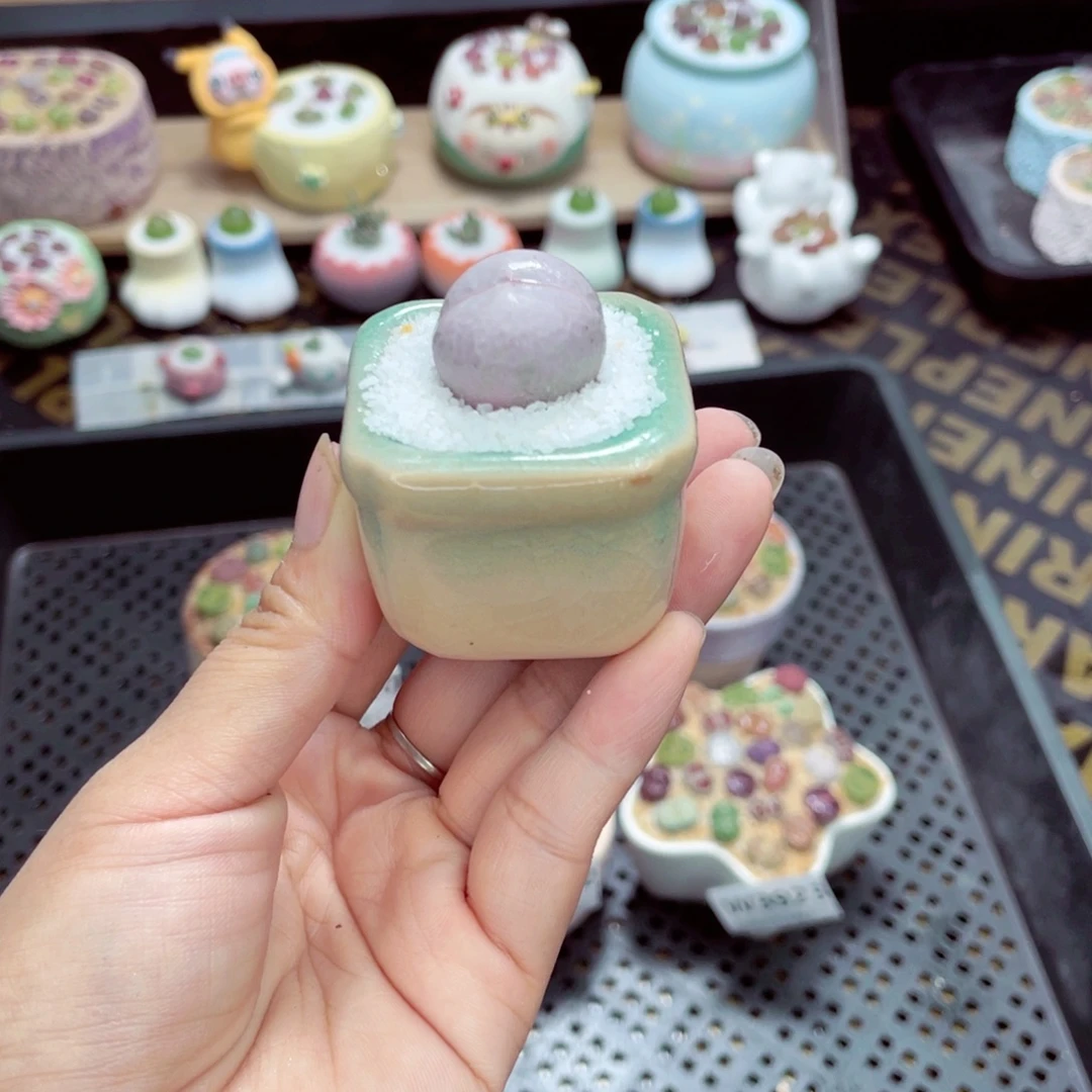 w3924 带盆土发货一物一拍