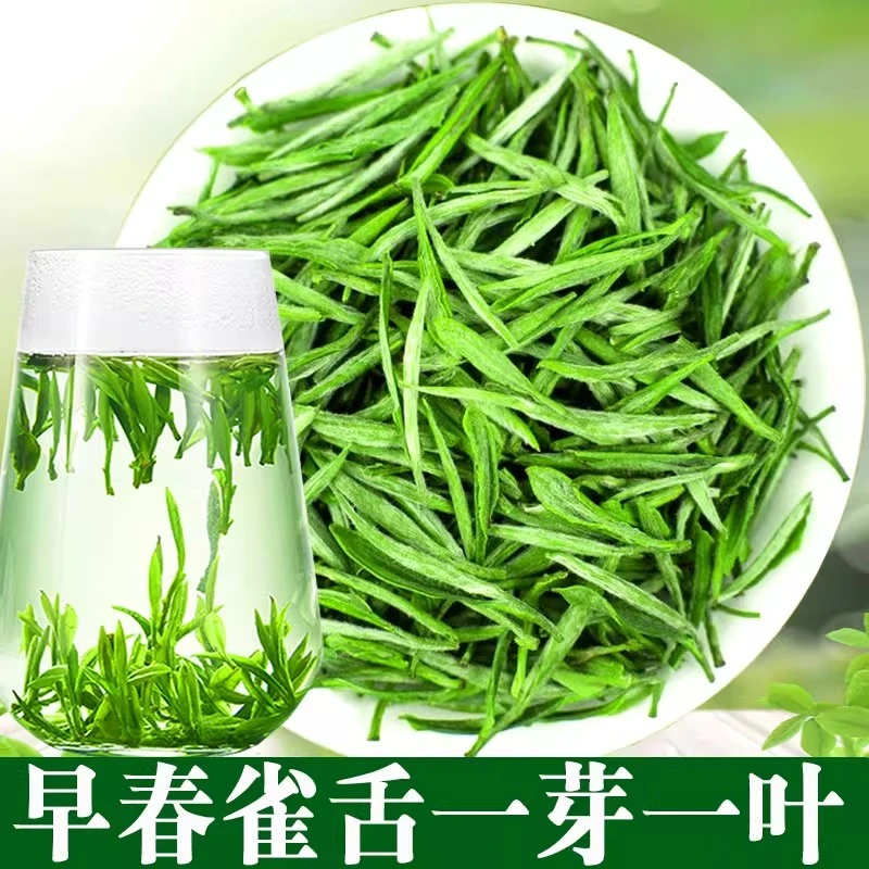 正宗特级雀舌2025新茶绿茶叶一芽一叶嫩芽毛尖高级办公浓香型春茶