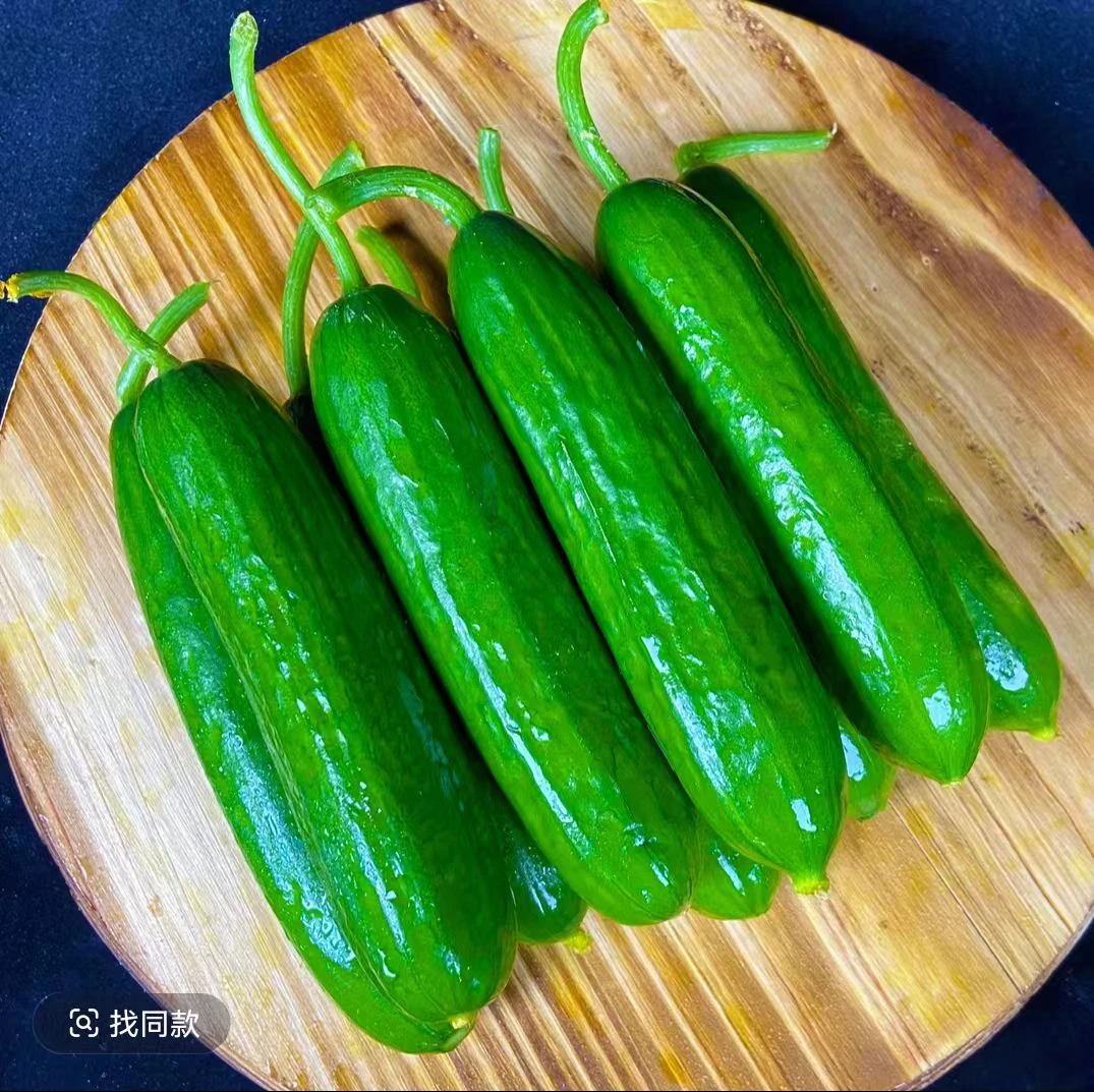 黄瓜脆嫩小黄瓜产地种植农家旱黄瓜荷兰黄瓜代餐青瓜山东水果