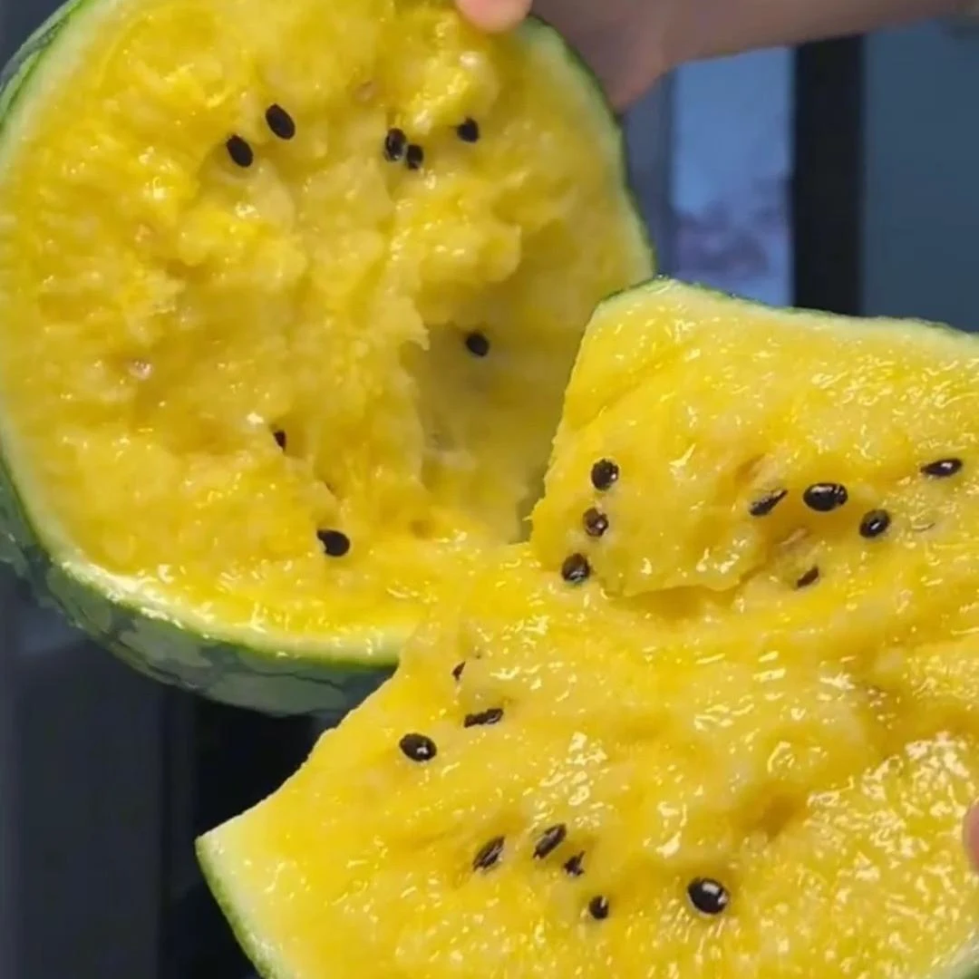 冰淇淋小西瓜黄壤甜多汁黄心新鲜现摘水果顺丰包邮