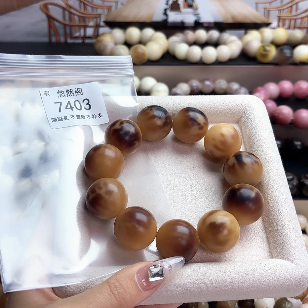 此***~吊坠菩提根/象牙果7403瑕疵不售后