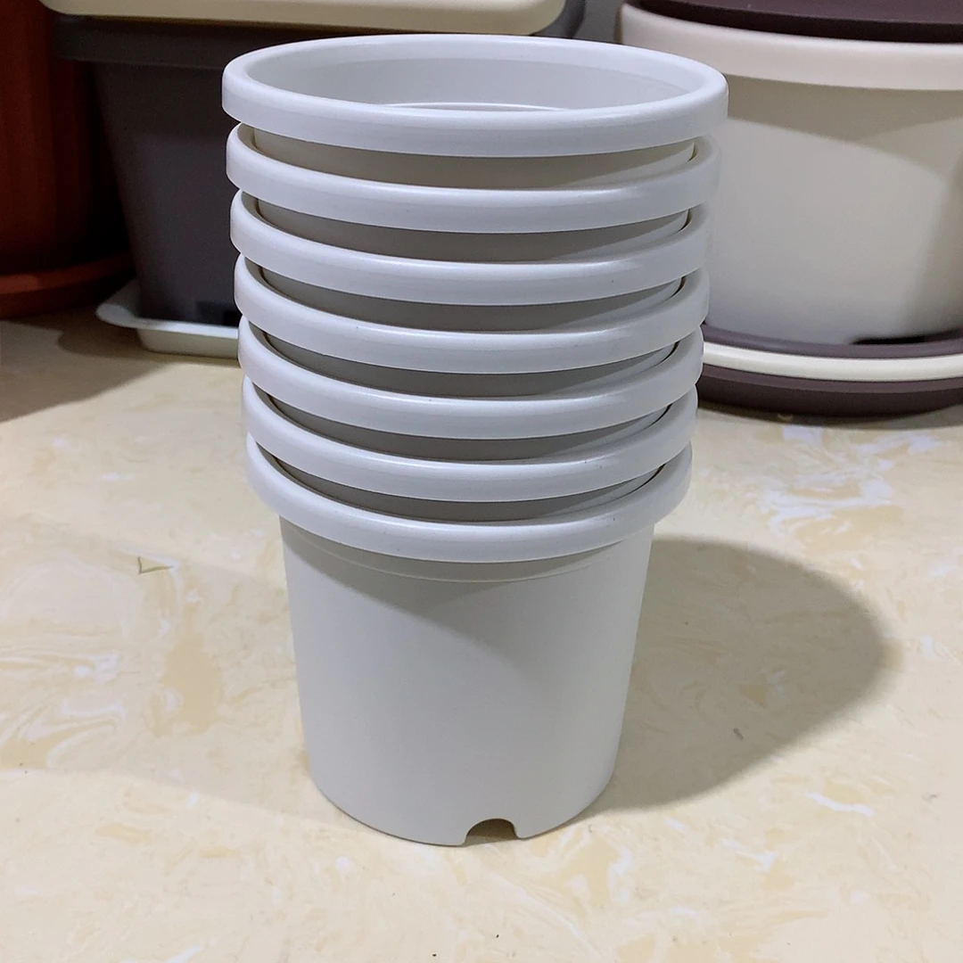 树脂四季口14白10个无托