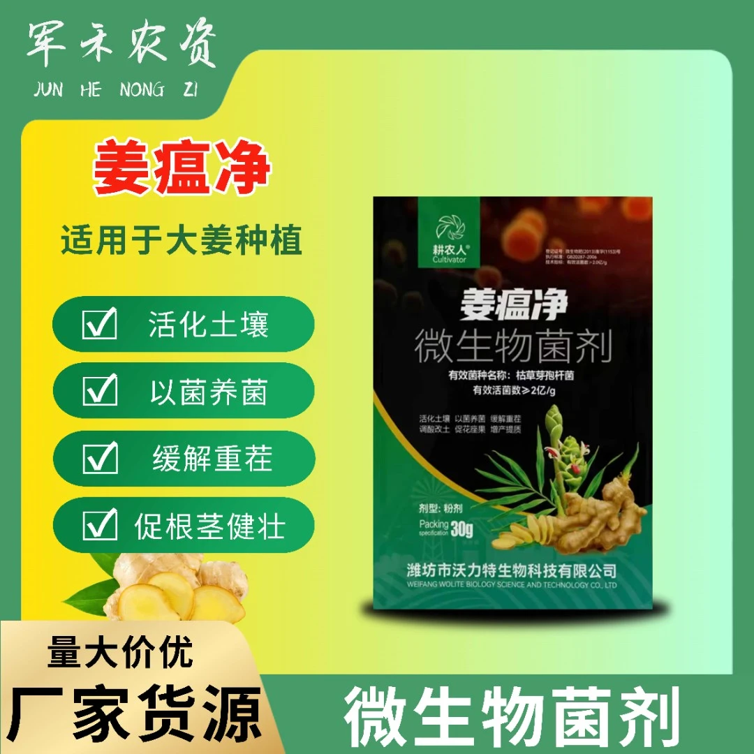 姜瘟净大姜生姜黄姜干尖百辣云黄叶姜瘟清烂脖姜瘟专用微生物菌剂