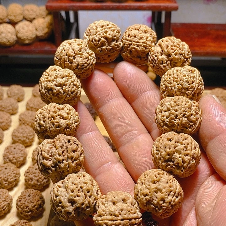 金刚菩提手串古龙福利款