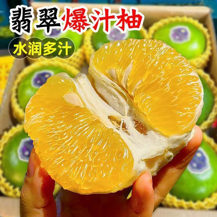 正宗福建漳州平和新鲜采摘爆汁翡翠葡萄柚酸甜多汁大果