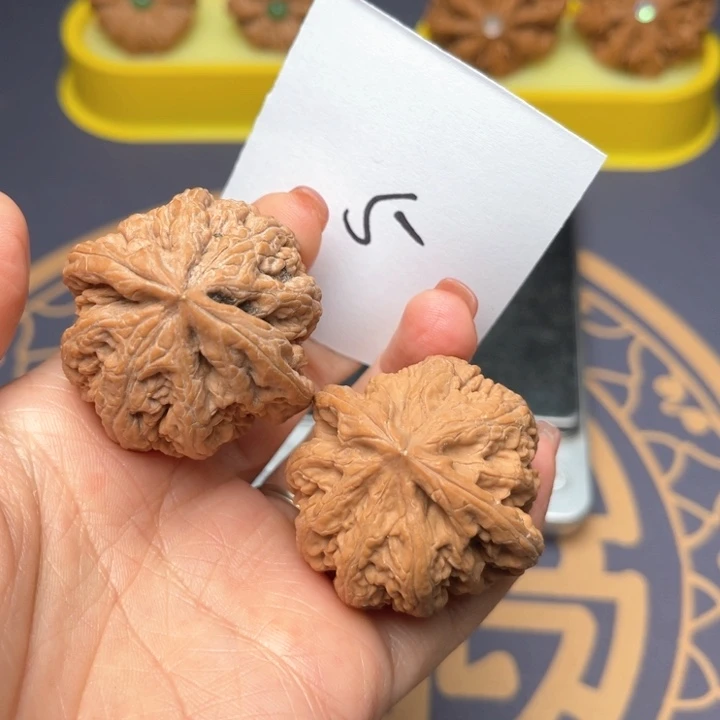 文玩核桃把件39大粗筋 5号