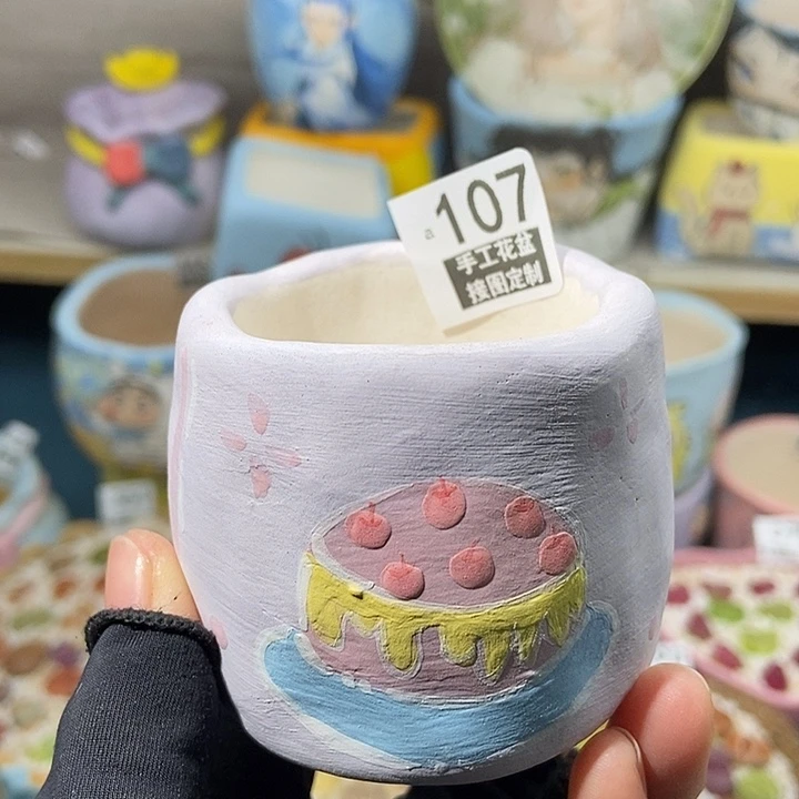 大舅生石花肉锥多肉 107