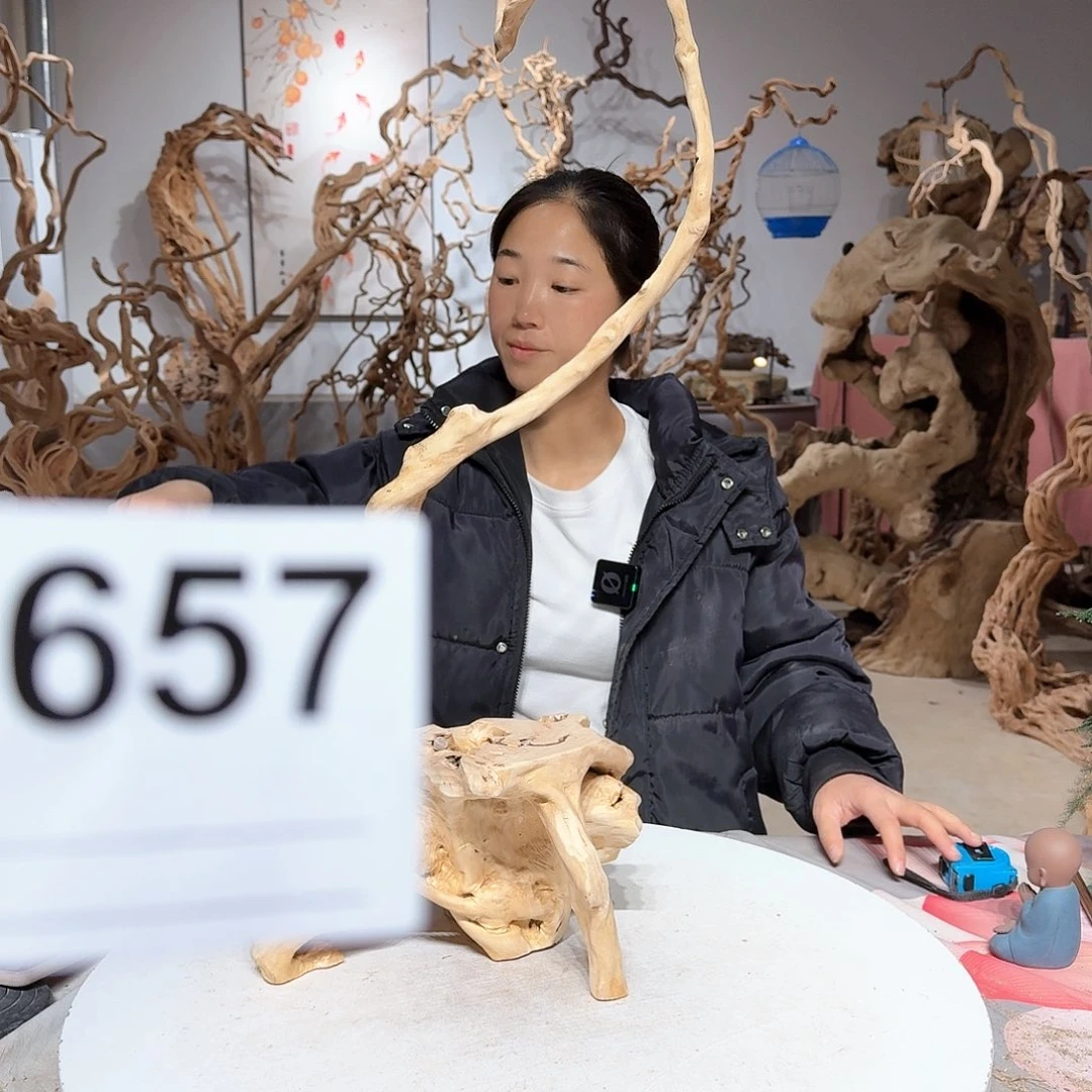 风车木（黑檀木）车****赁