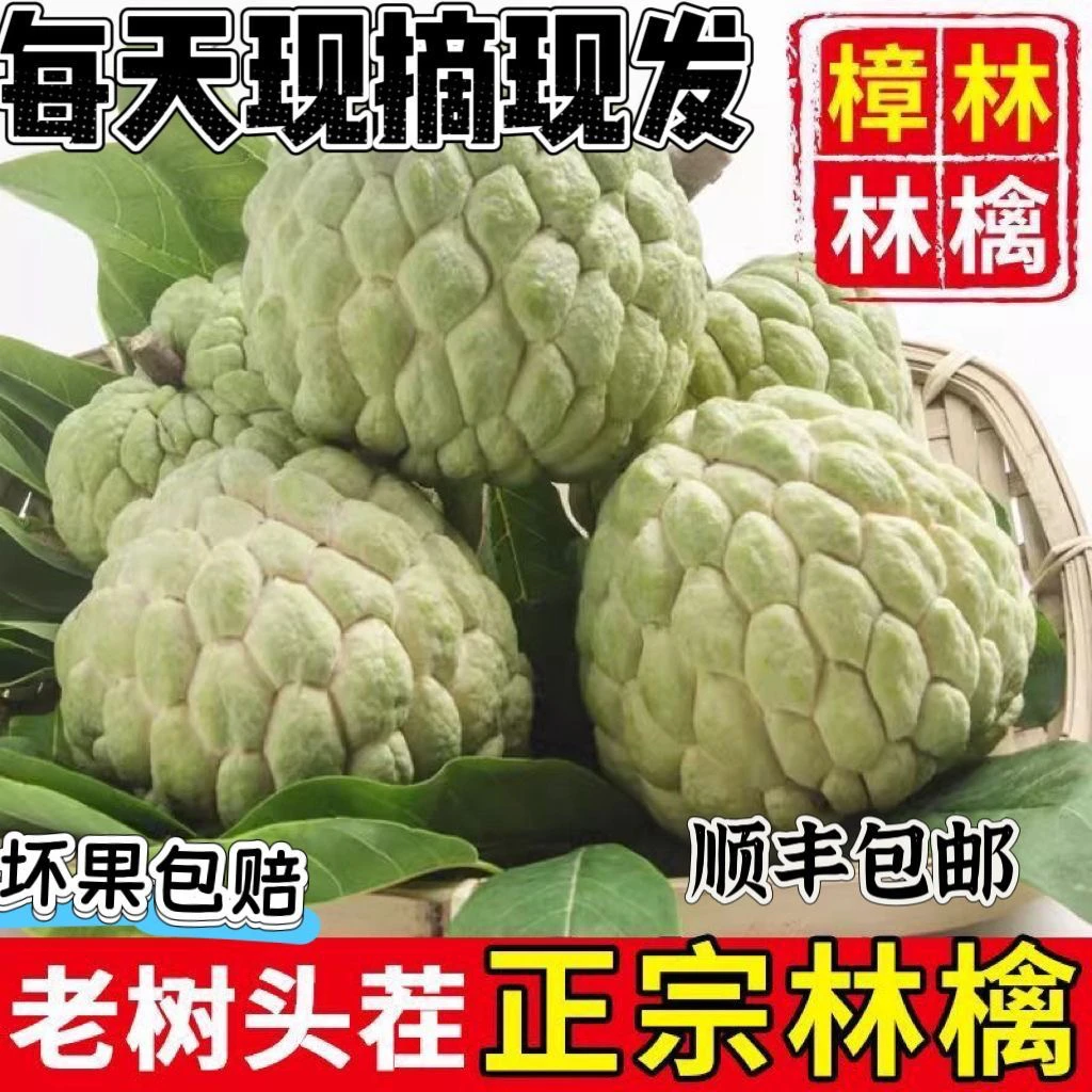 潮汕樟林本地林檎释迦果当季新鲜水果番荔枝佛头果现摘大果摩尼果