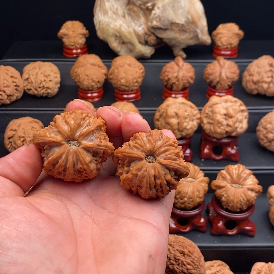 慢***找45全品磨盘， ， ， ，