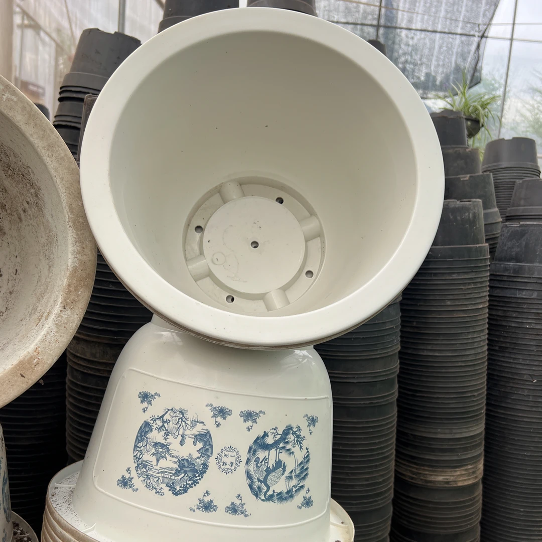 塑料旧花盆 富贵花开盆31口径21高 花色混发（3个）