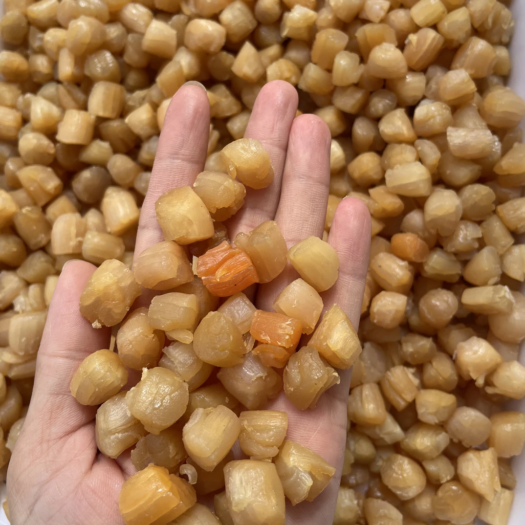 渔民自晒大干贝瑶柱煲汤煲粥炒菜250g/500g/1000g