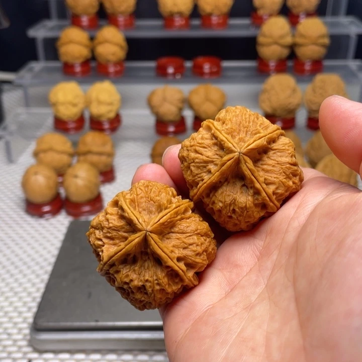 文玩核桃把件41珊瑚四棱