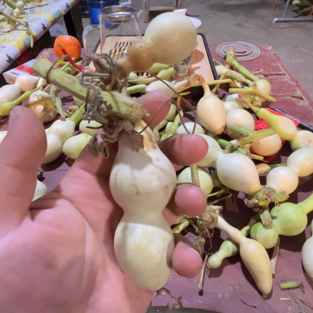 文玩葫芦吊坠项链