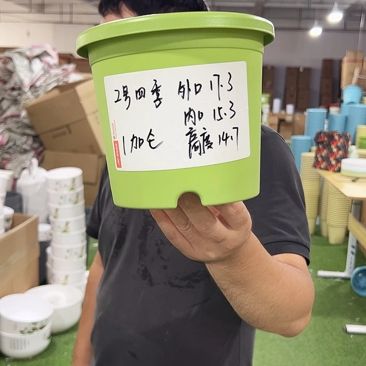 特价2号四季口17高14混色10个无托