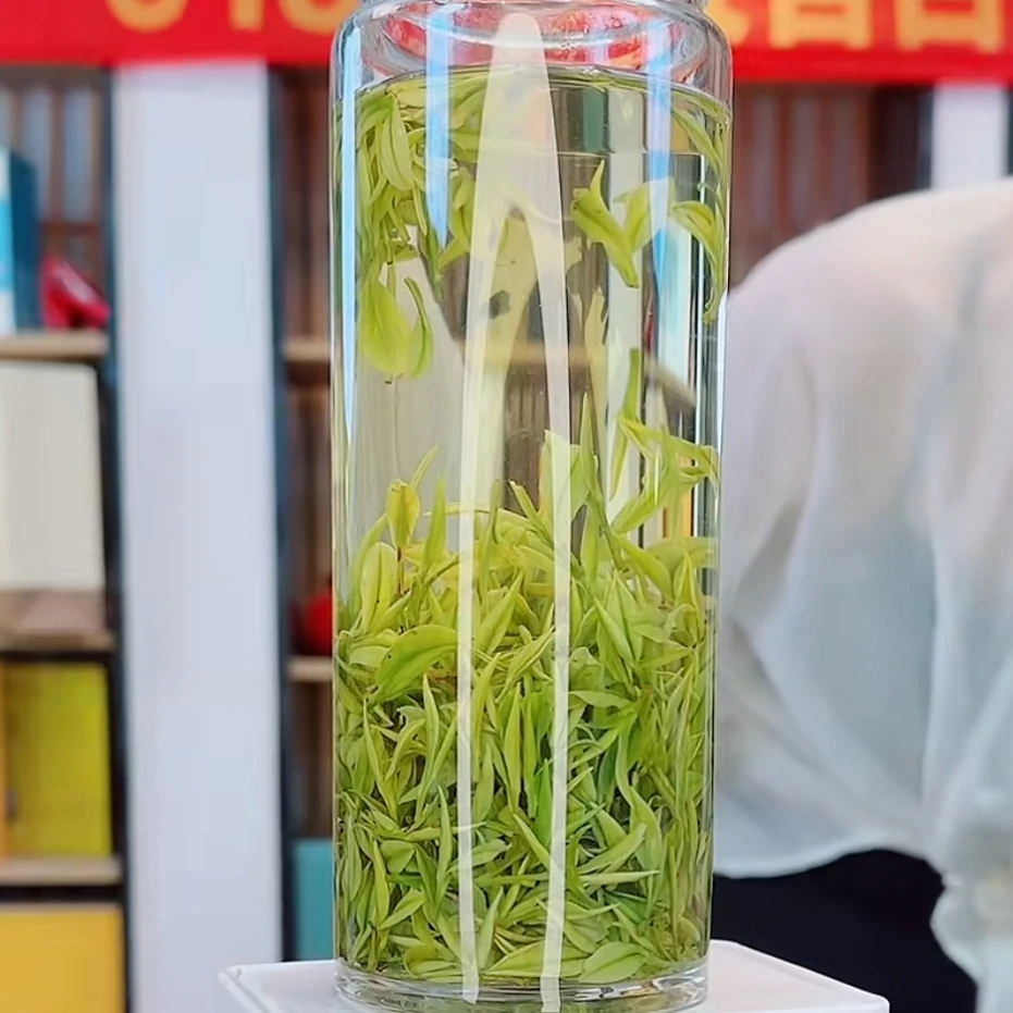 【618专享小芽】2025新茶安吉白茶高山原产地明前枫璟白茶
