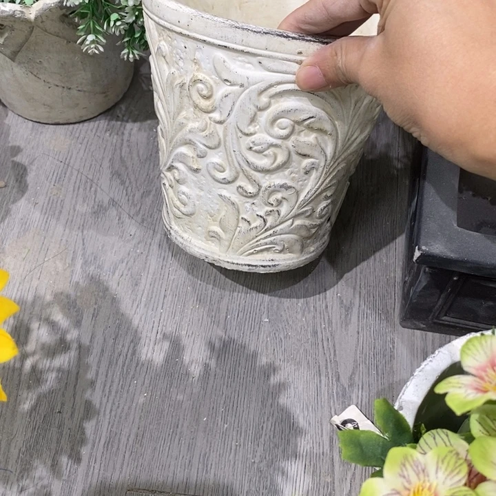 花盆6191949499494 19