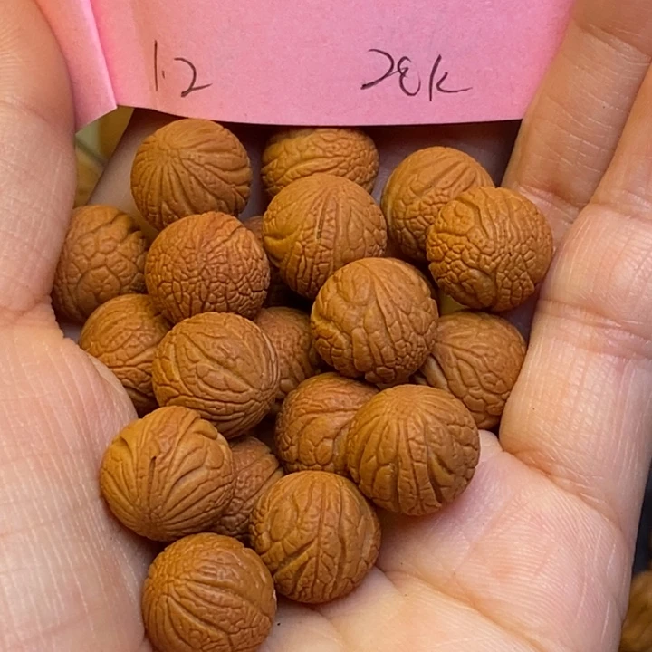 吊坠桃核秦岭龙纹12尺寸