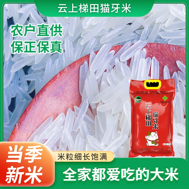 长粒猫牙米农家新大米现磨现发孩子爱吃新鲜真空云上梯田猫牙米