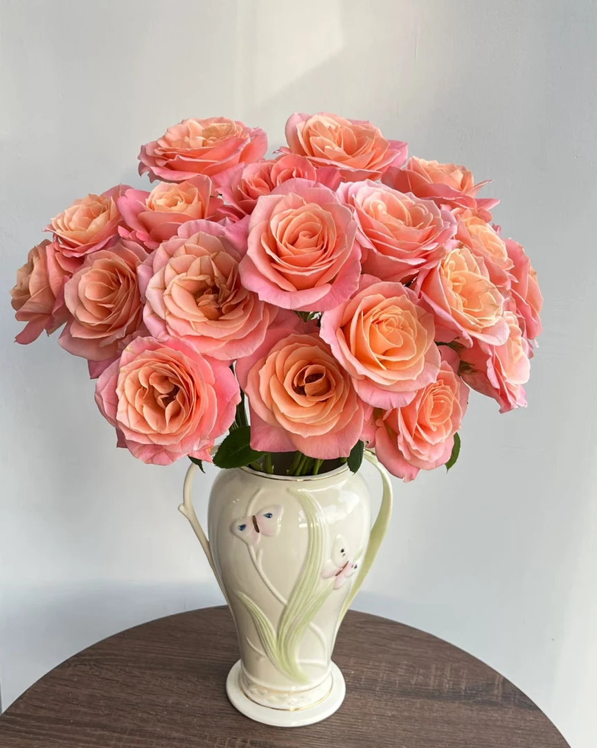 【朱小姐】【花当季鲜花】玫瑰 收到需醒花 云南基地鲜花直发