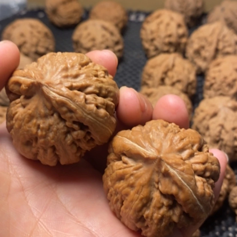 【闪购商品】文玩核桃吊坠用****8霸王龙