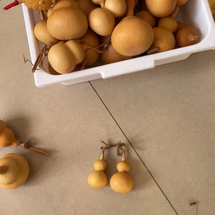 …***z大叶紫檀（黑酸枝木类）