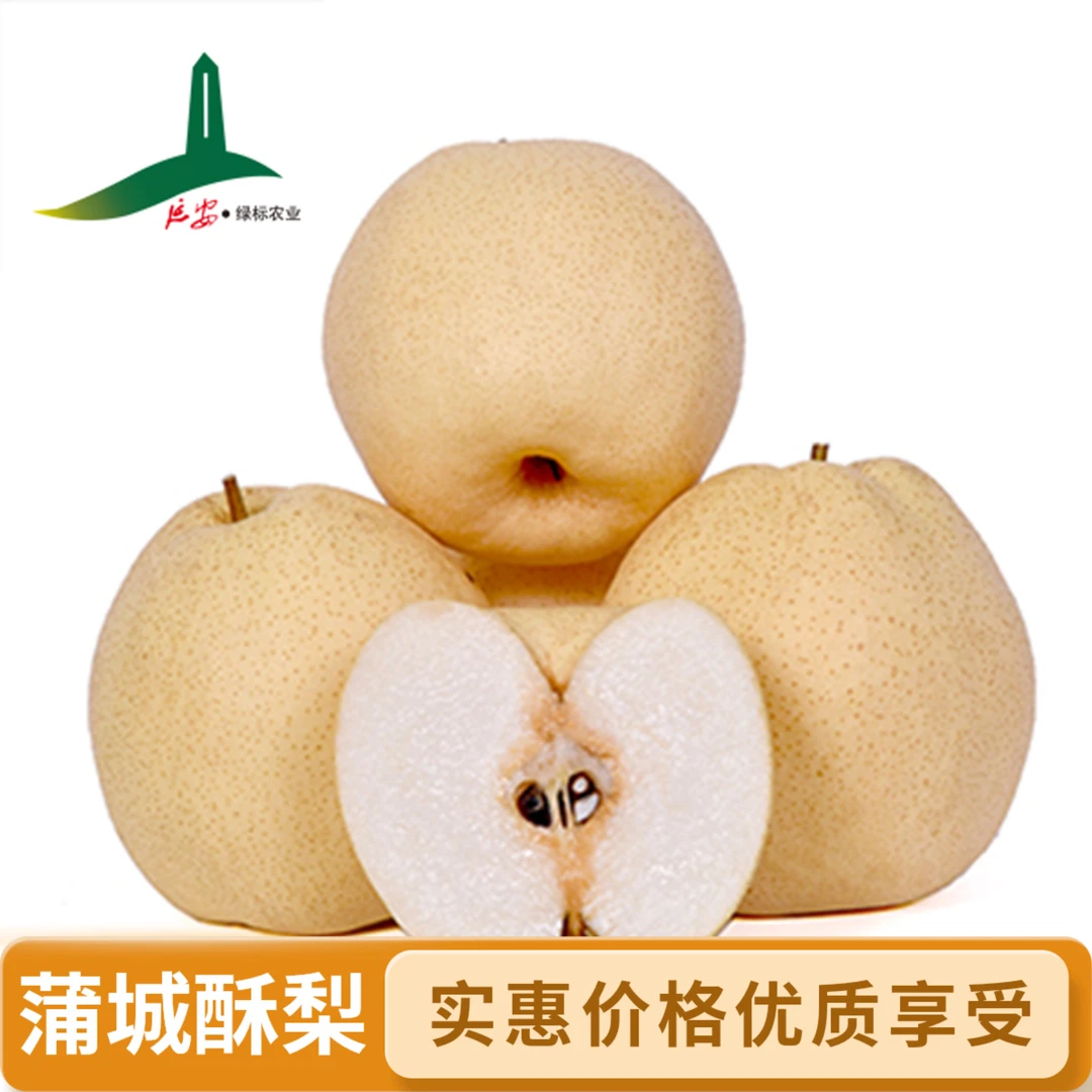 蒲城酥梨中大果【京东包邮】正宗新鲜雪梨脆甜多汁香甜原产地砀山梨