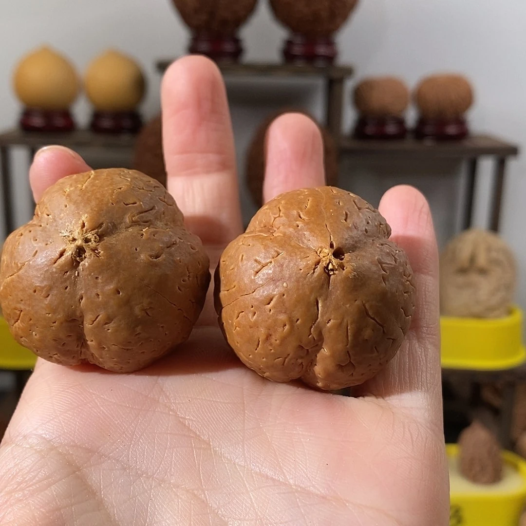 吊坠文玩核桃梅花金刚38