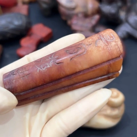 把件菩提根/象牙果