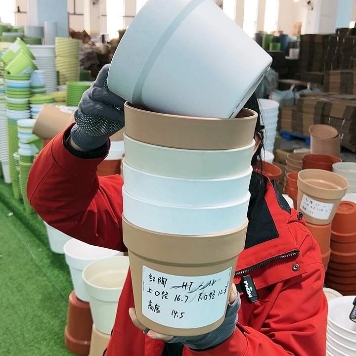 正品红陶口16.7高14.5白色无托6只