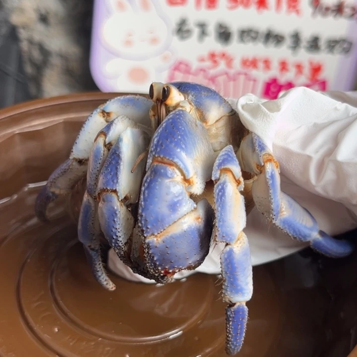 蓝天白云3.8口。