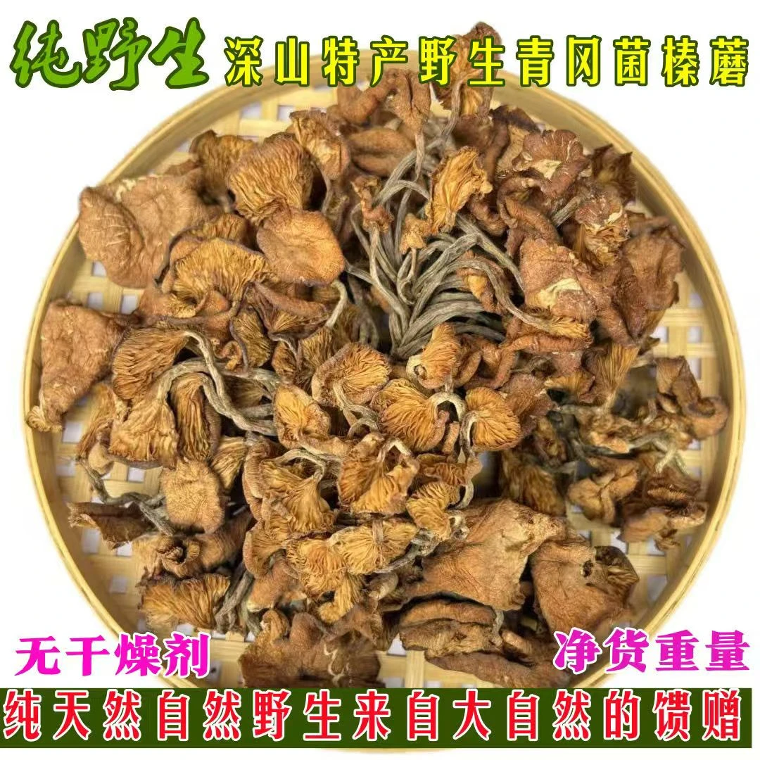 纯野生八百里伏牛山特产野生青冈菌