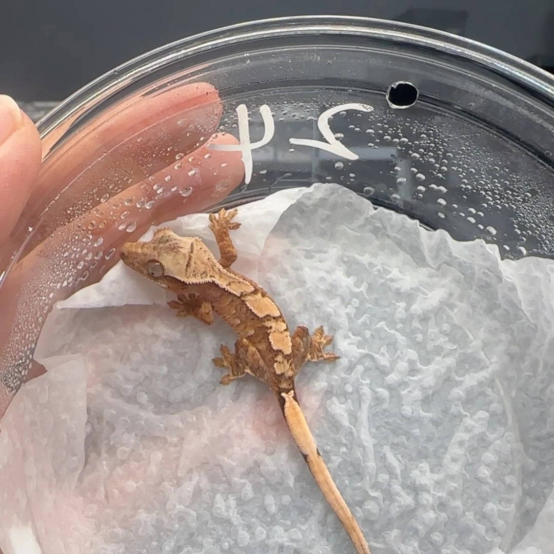 24号抱抱抱抱宝宝宝
