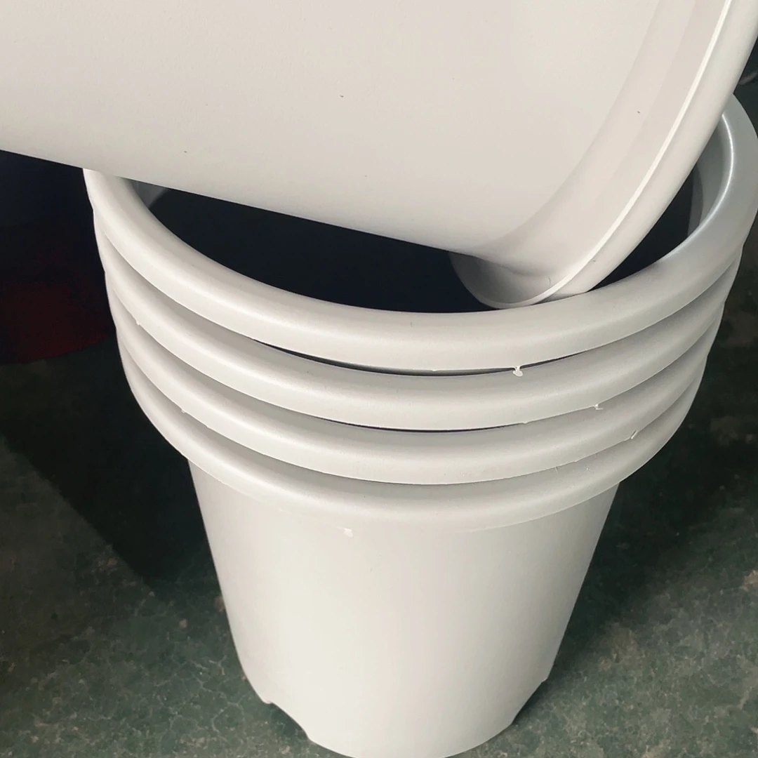 编号是3号的3号的