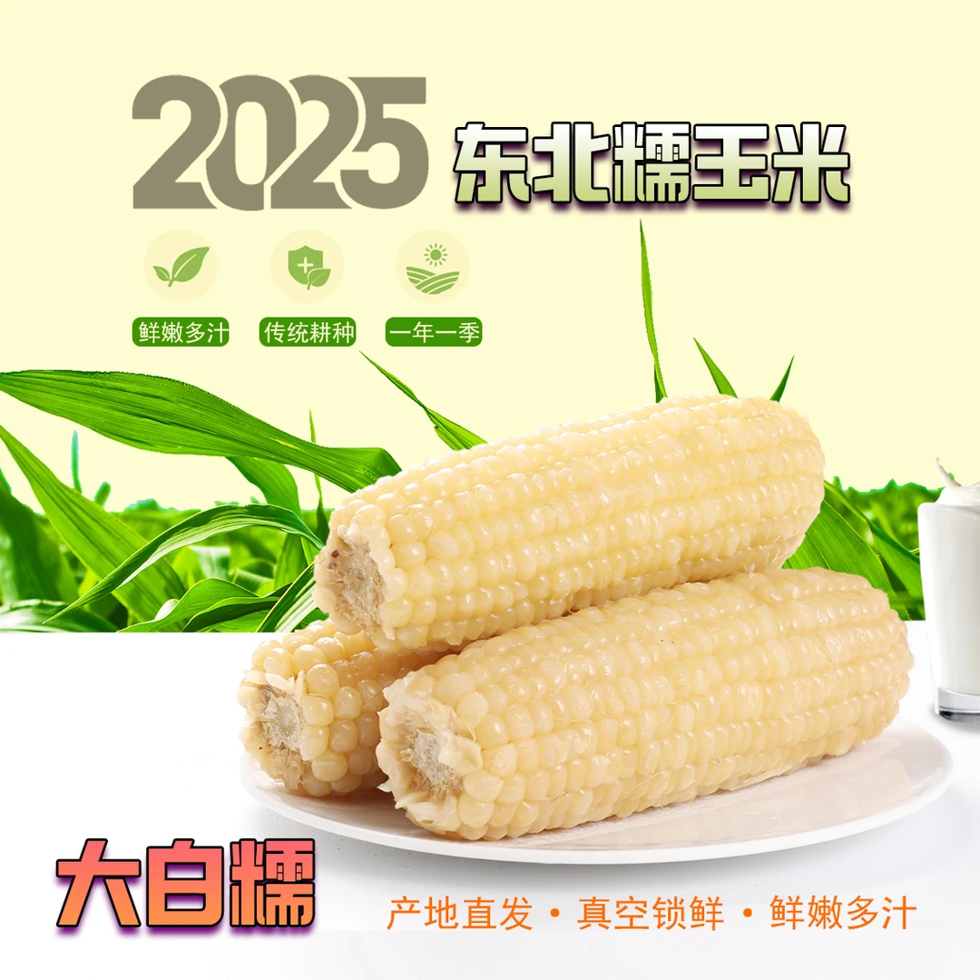 【试吃5根】2025年新鲜采摘东北白糯玉米10支装整香甜软糯