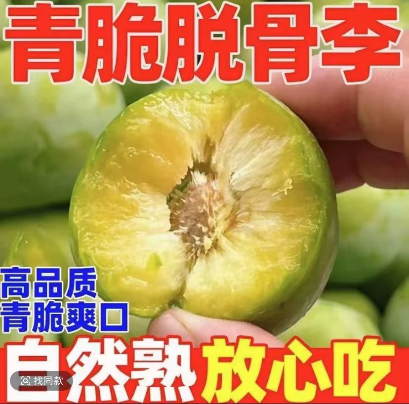 【青脆李】正宗青脆李新鲜现摘酸脆李脱骨李新鲜水果