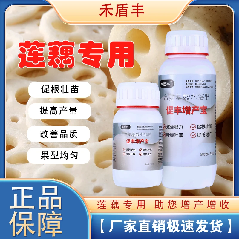 莲藕专用肥地下猛长根茎膨大荷花营养素高产增白增粗