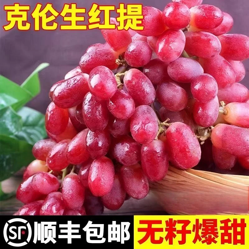 克伦生无籽红提子新鲜水果晚熟葡萄红提无籽脆甜多汁晚熟无籽葡萄