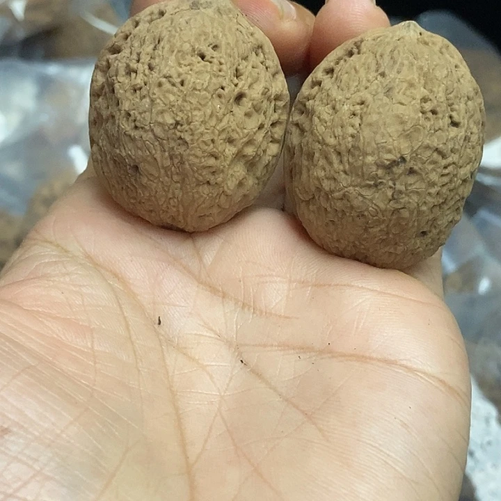 文玩核桃把件云南铁核桃基地85