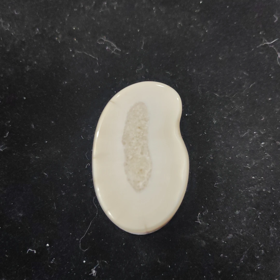 猛犸猛犸虬饼子WT606