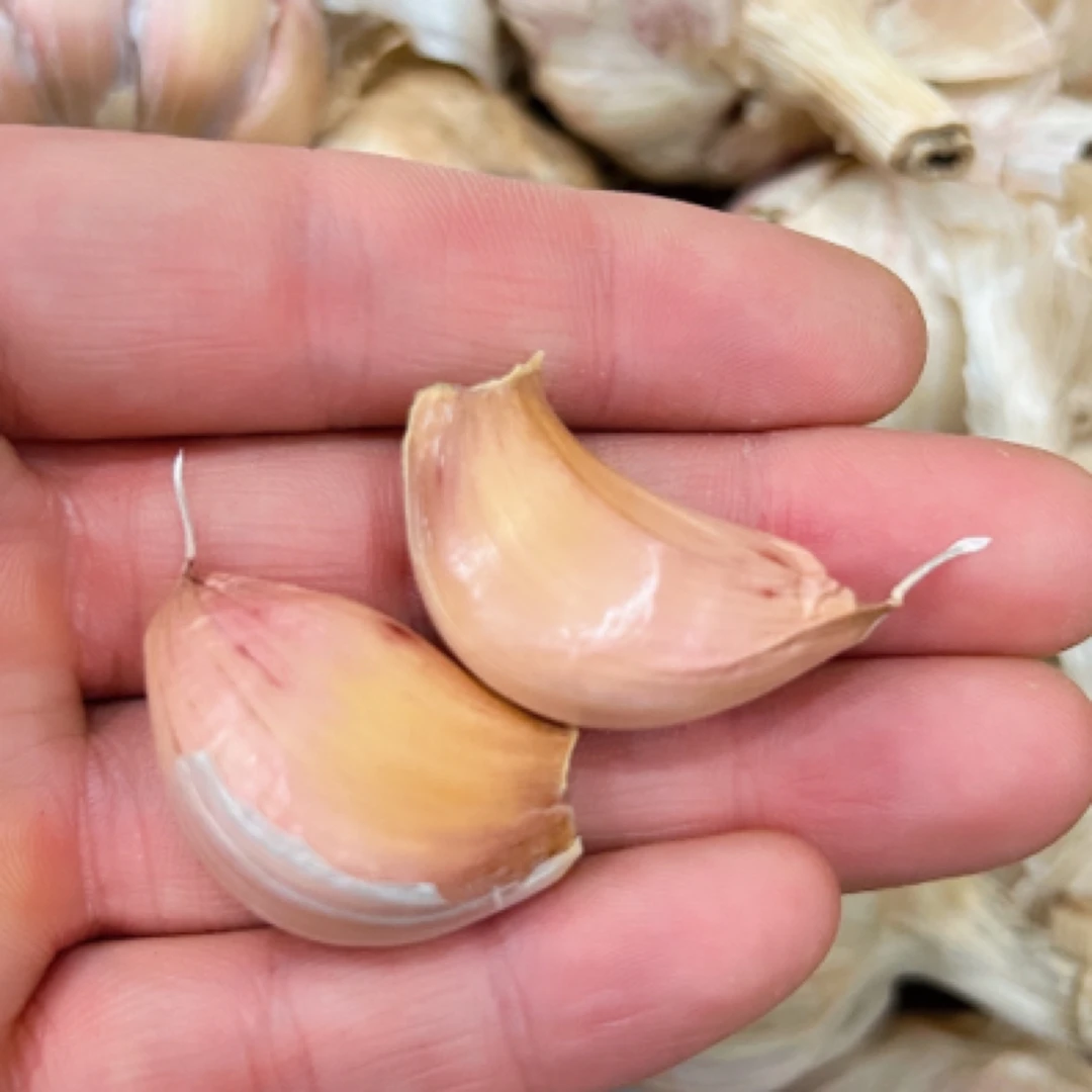 紫皮独头栽子3斤（低温勿拍冻坏不赔）