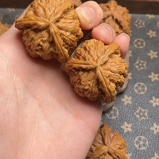 皇*白狮11111111111111