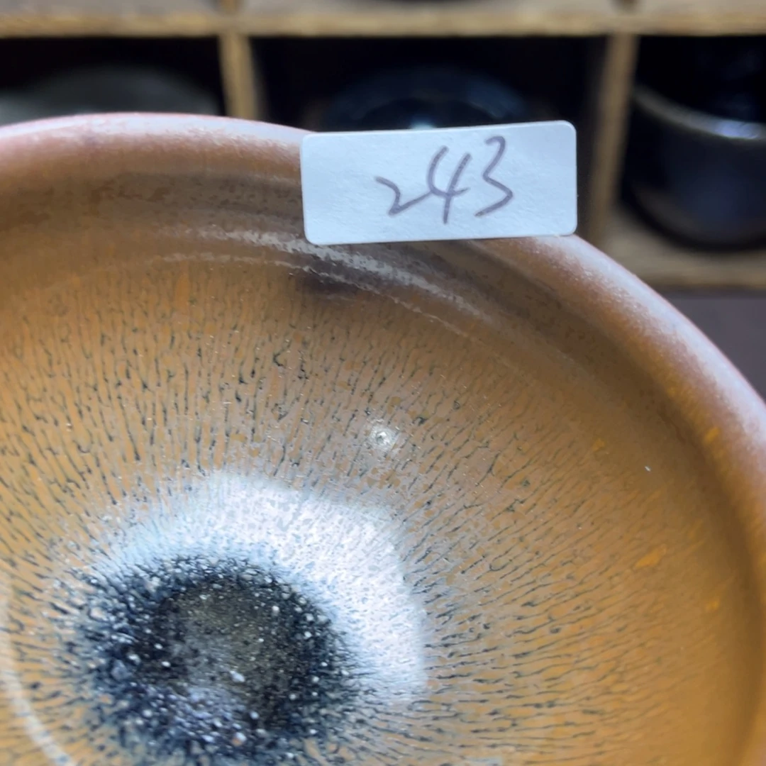 茶盏666666666666666666