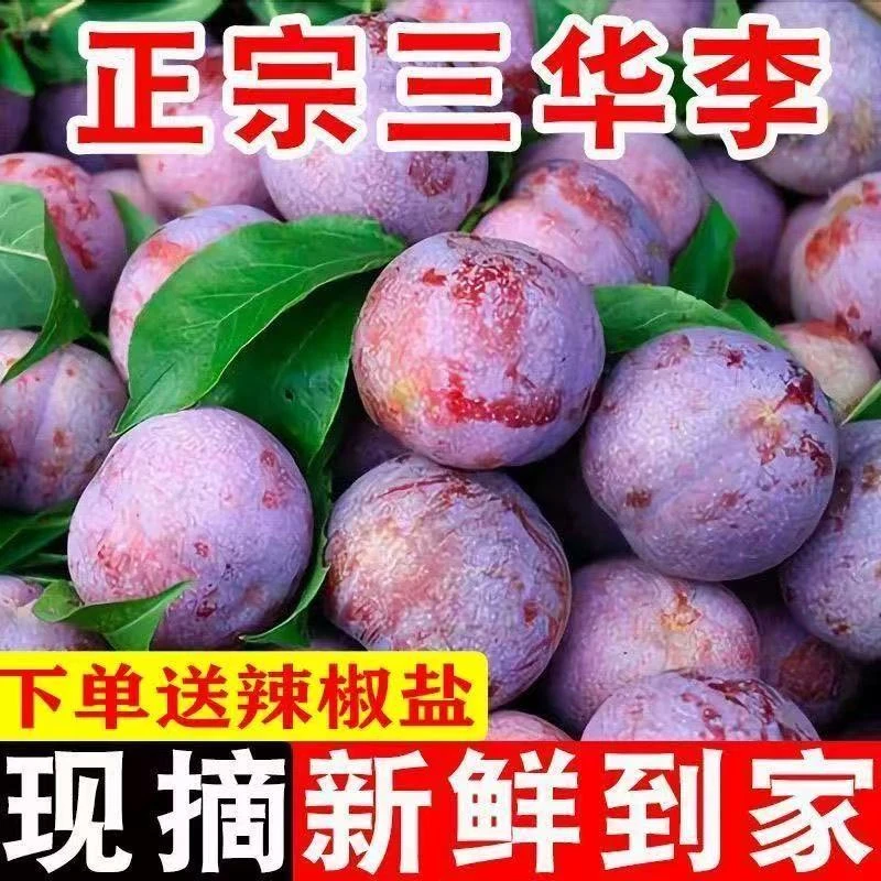 红心三华李子新鲜采摘酸甜脆口应当季水果