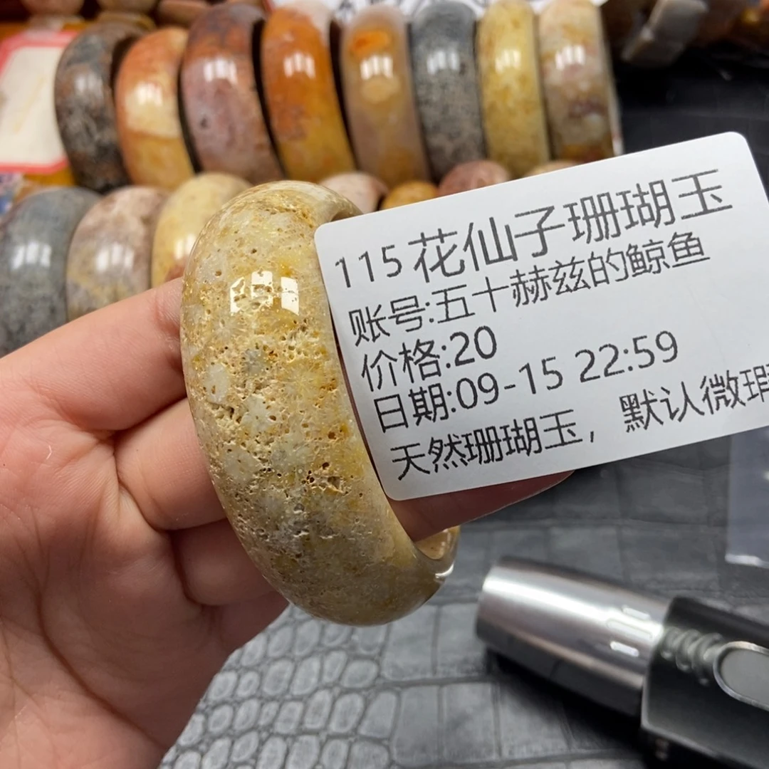五***鱼未镶嵌硅化珊瑚（珊瑚玉）珠宝半成品115