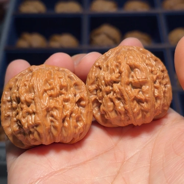 文玩核桃吊坠白狮子7644