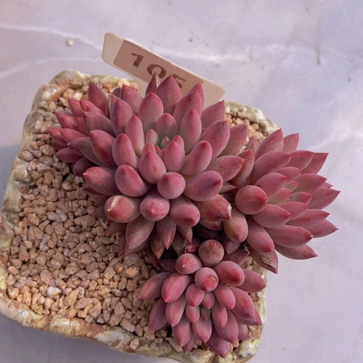 健健康康平平安安