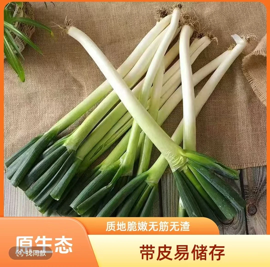 东北产地现挖新鲜大葱去头带皮铁杆大葱
