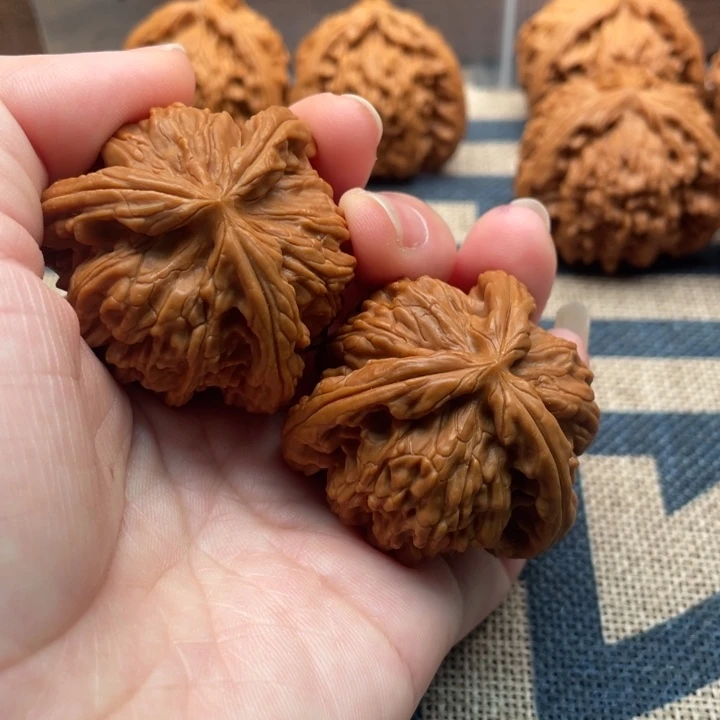 乖***学核桃白狮子41核桃